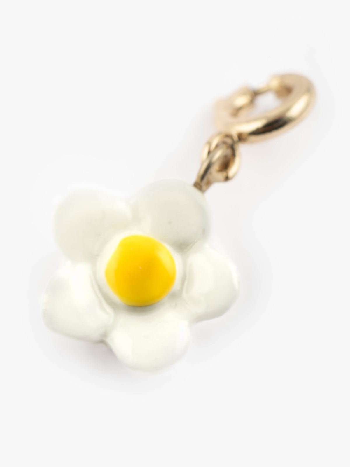 Charm's fleur blanche