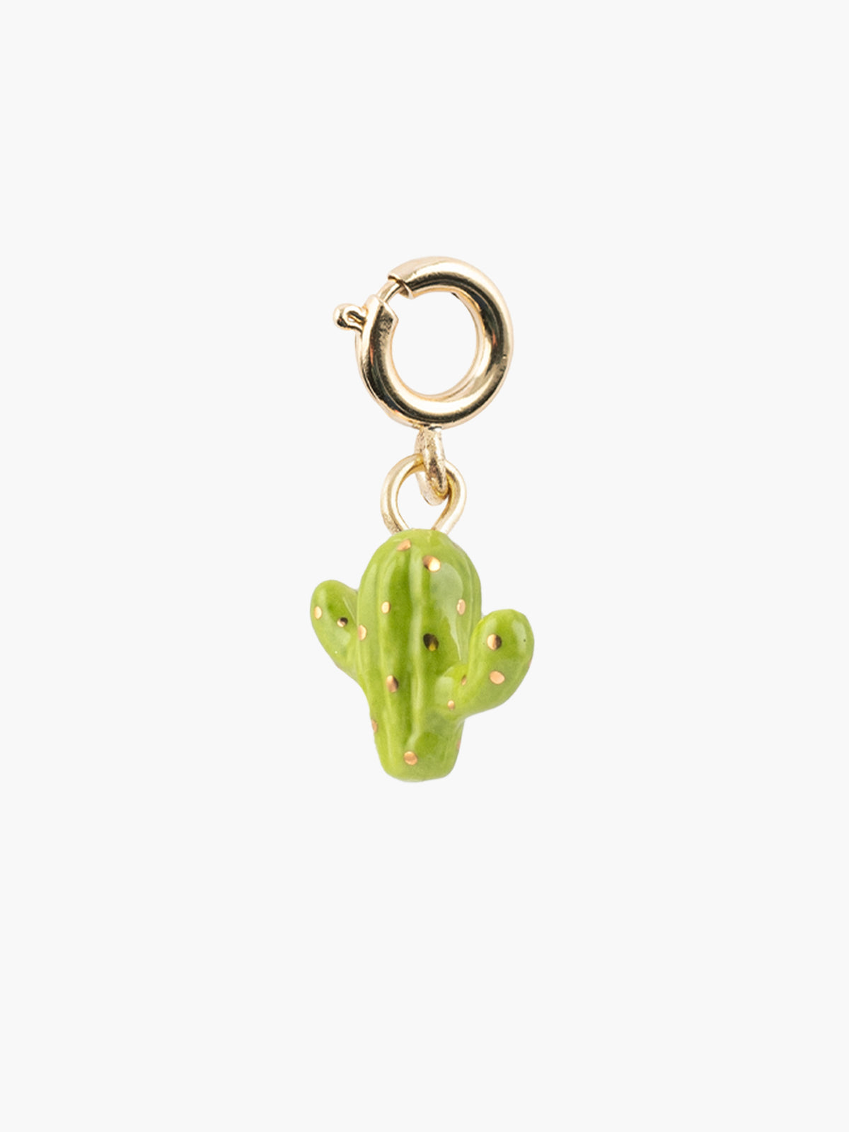 Charm's cactus