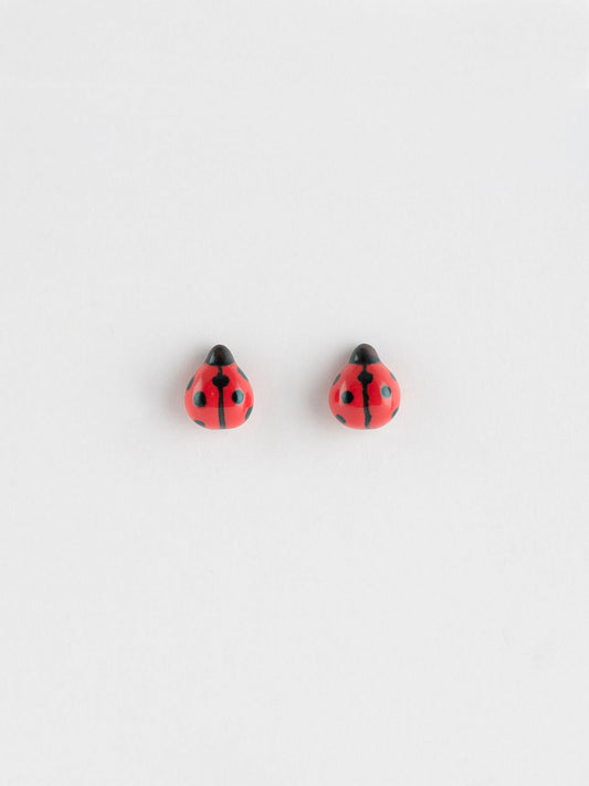 Pulci dell'orecchio della coccinella