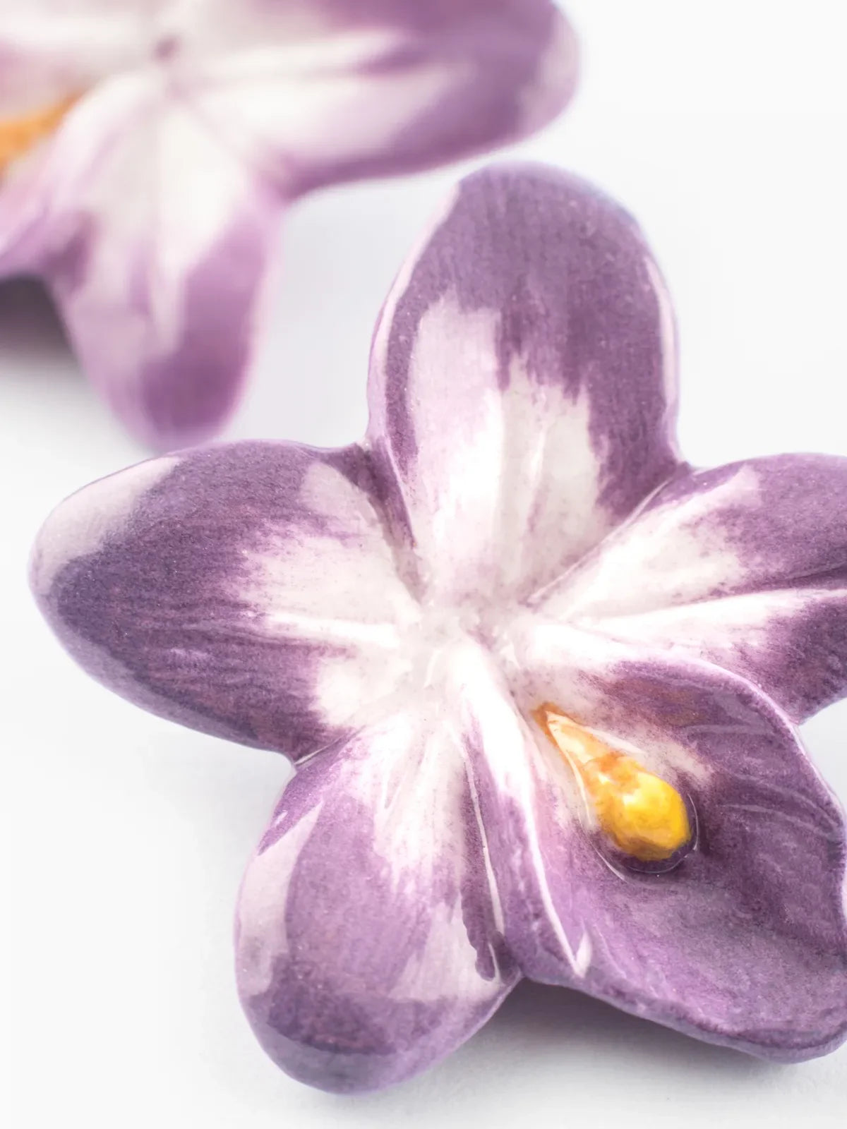 Pulci dalle orecchie viola