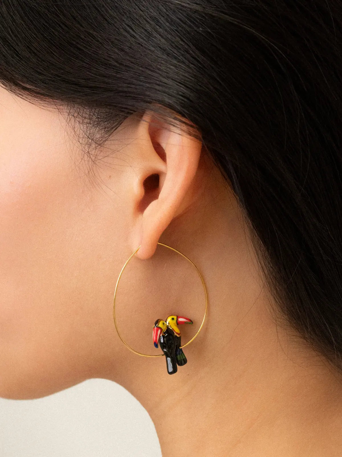 Coppia media di tucani creoli