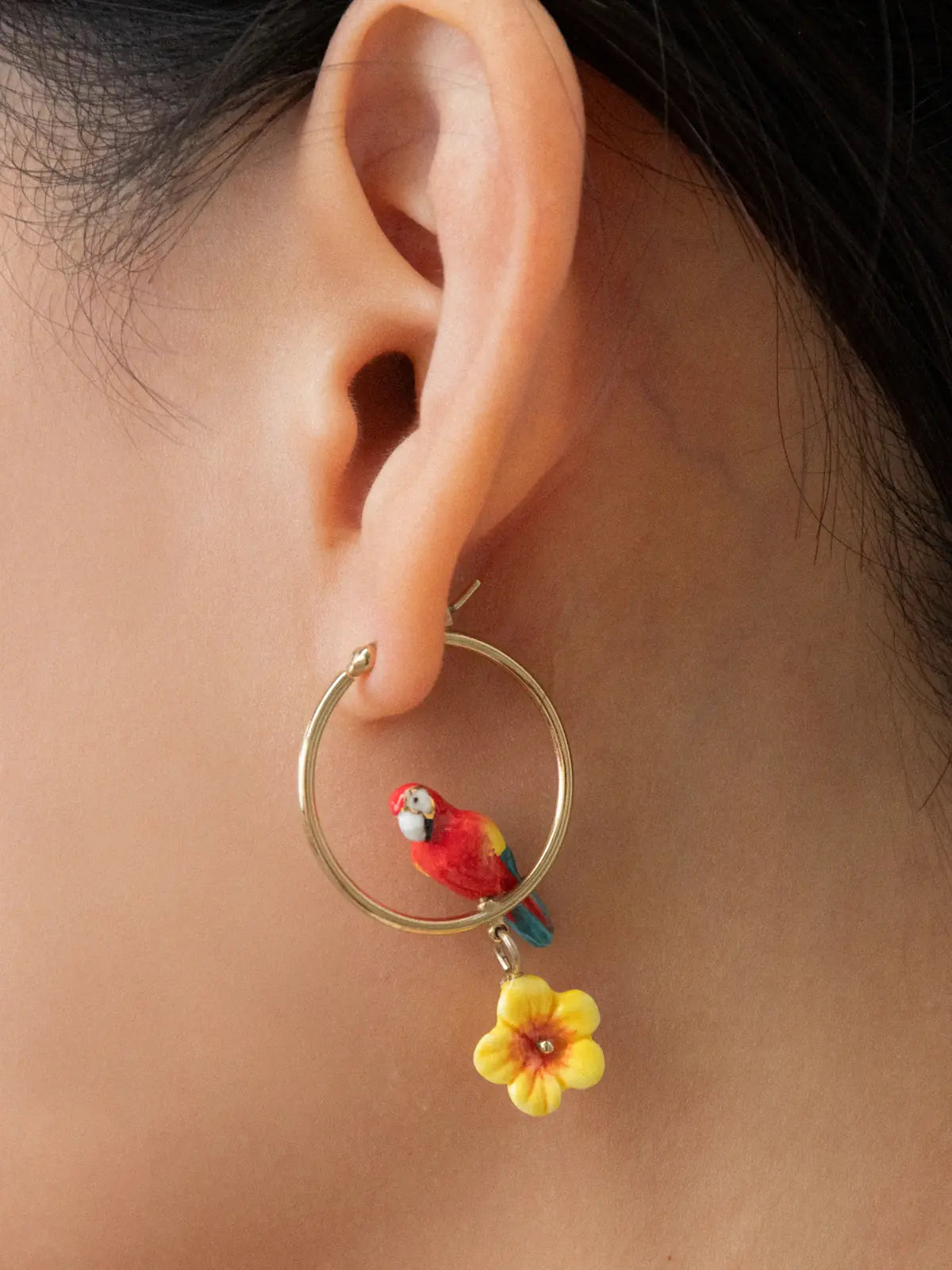 Créoles rondes perroquet Ara et hibiscus