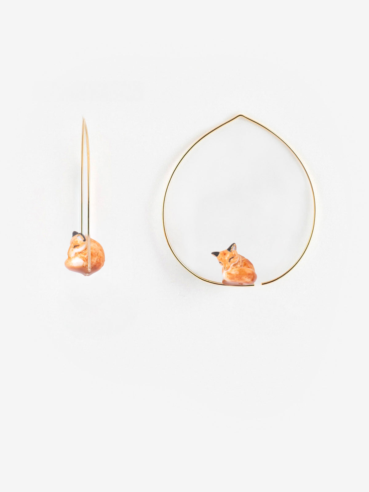 Volpe creola media che dorme