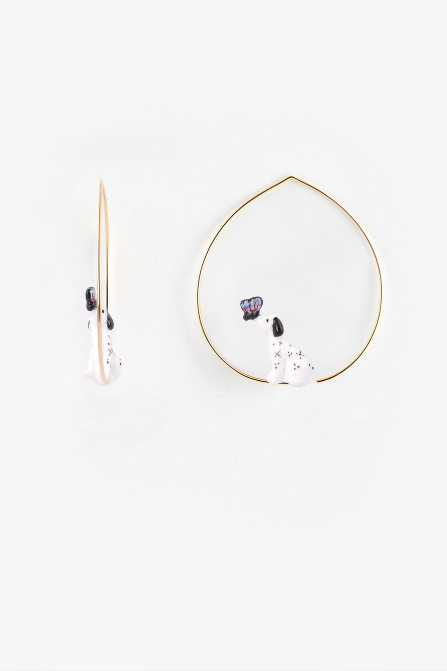 Medium Creole Dalmatian dog and butterfly