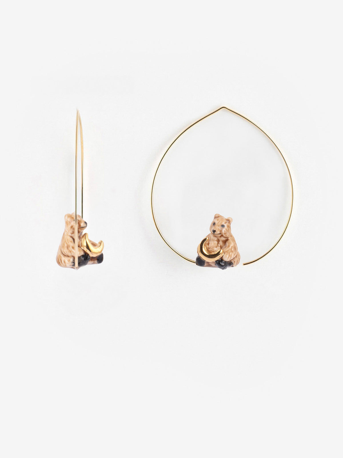 Cucciolo d'orso creolo medio e luna