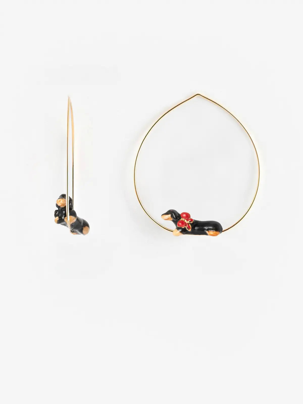 Cane bassotto creolo di taglia media - 15 anni