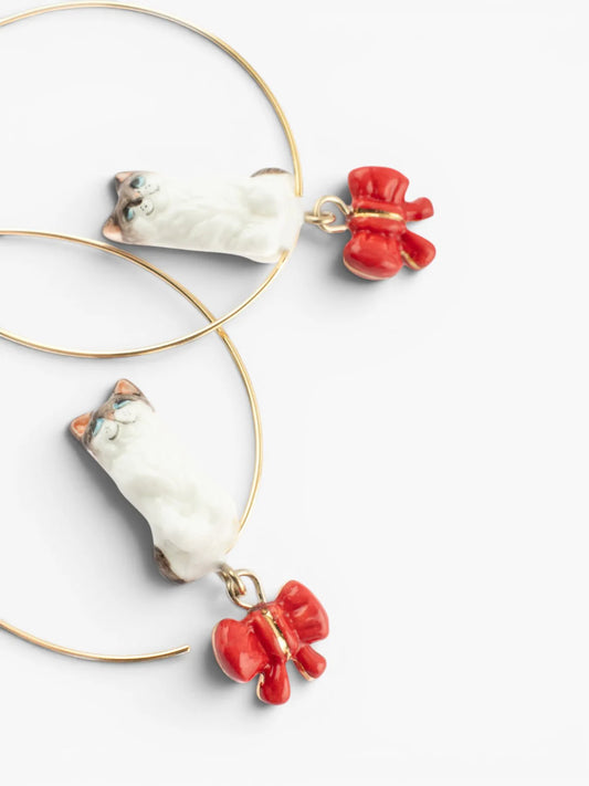 Moyennes créoles chat Ragdoll - 15 ans