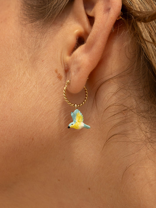 Mini créole Oiseau Paruline bleue - Vendue à l'unité