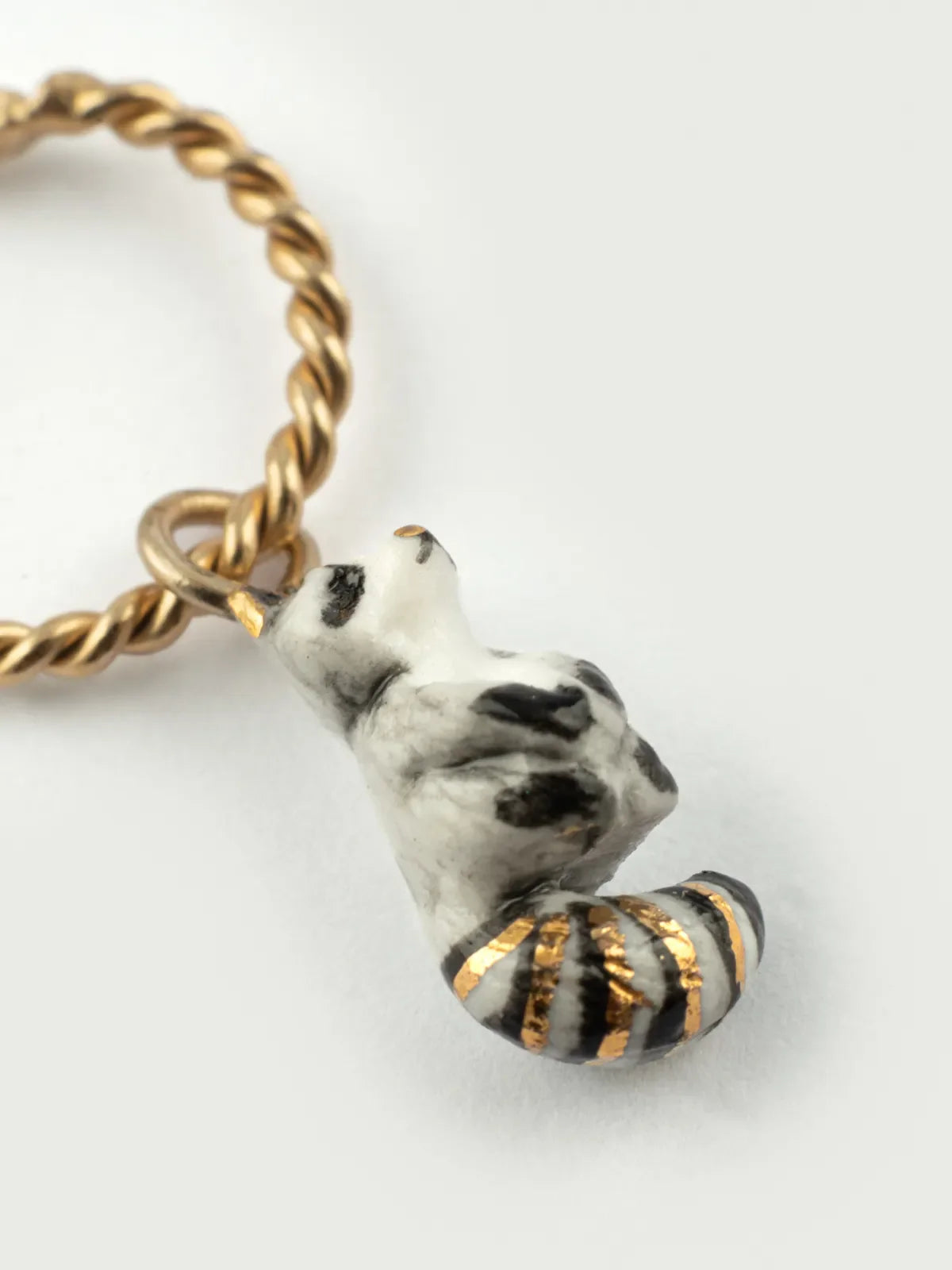 Mini créole raton Laveur - Vendue à l'unité