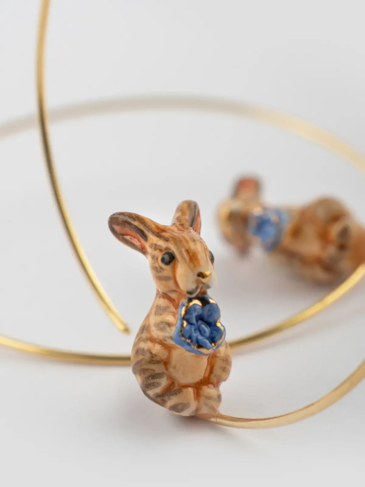 Coniglio creolo marrone medio