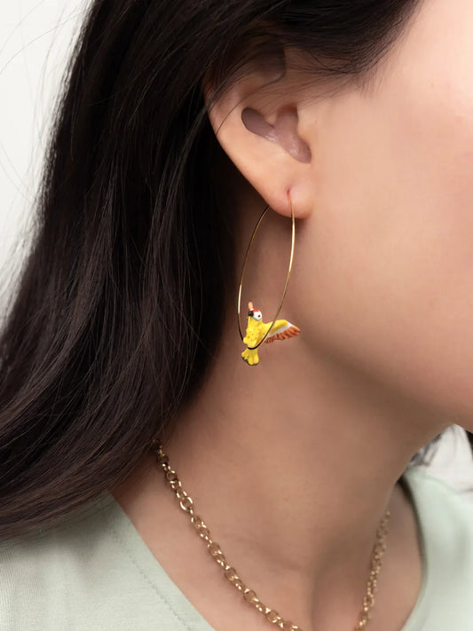 Grande uccello creolo fenicottero picchio