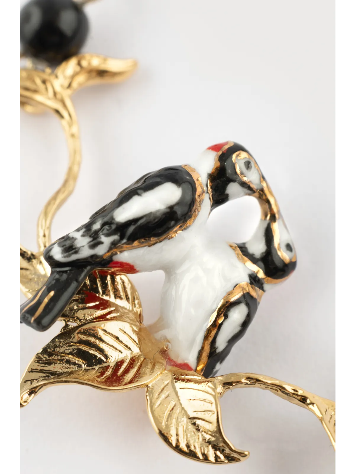 Uccelli dal collare, picchi macchiati