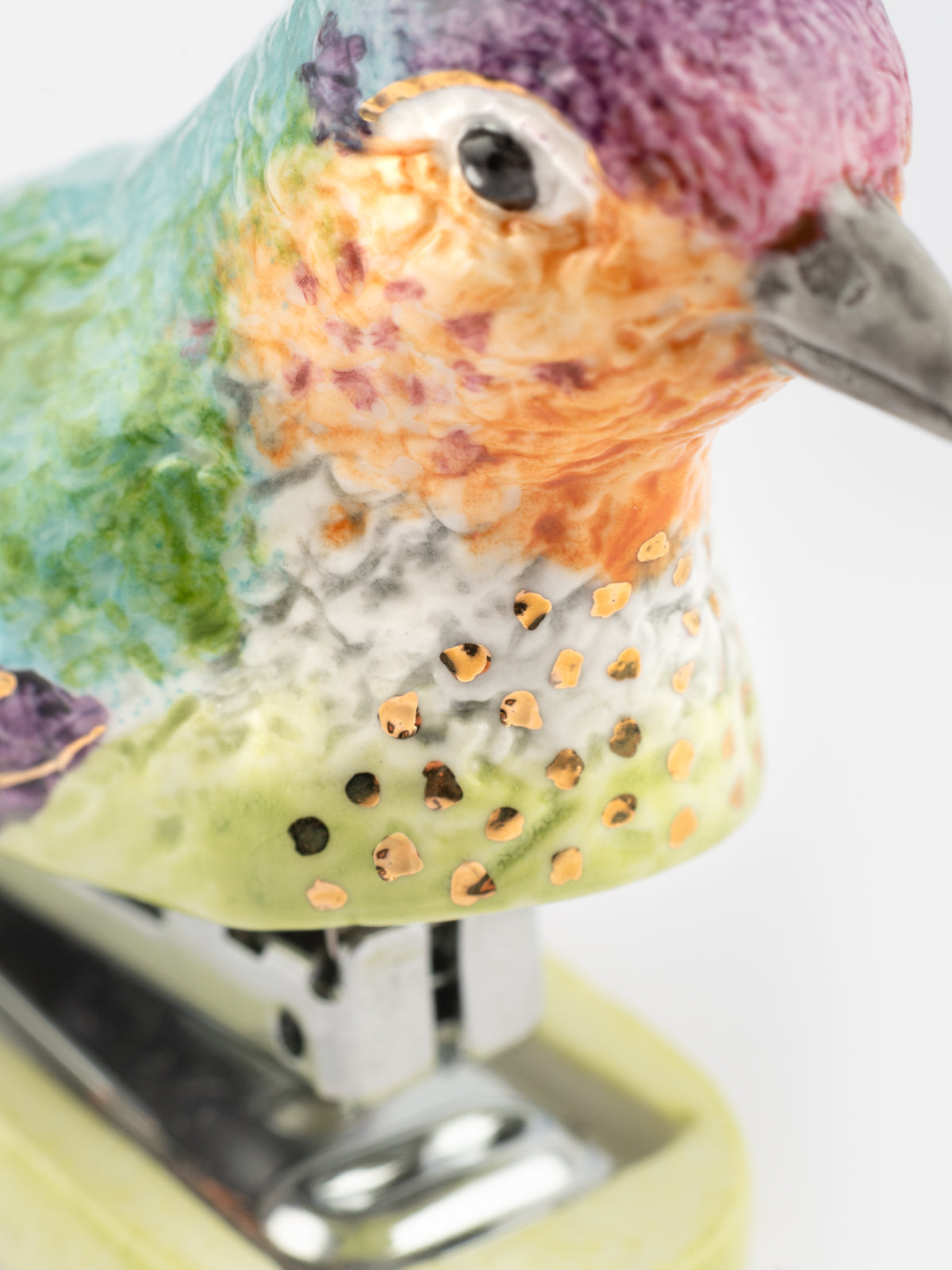 Agrafeuse colibri d'Anna