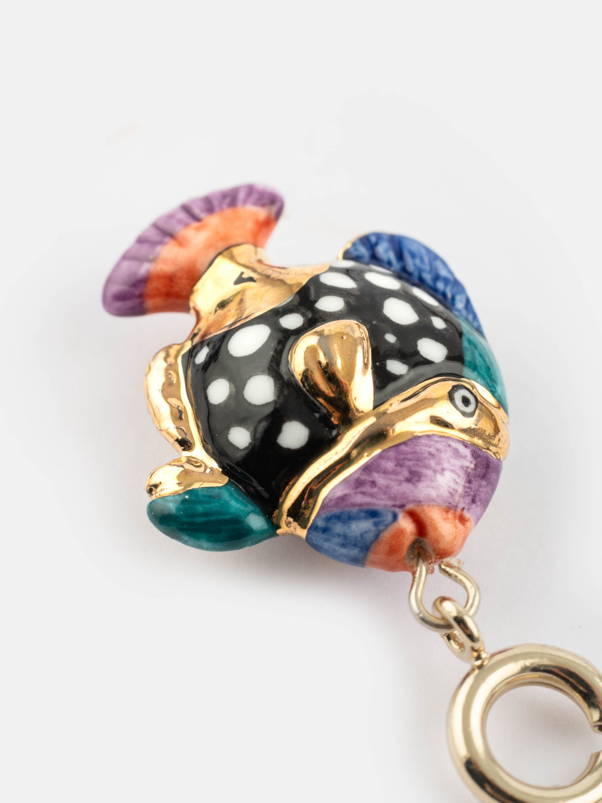 Maxi charm's spotted fish