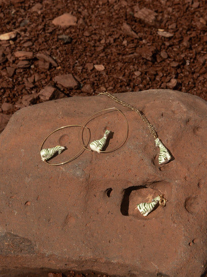 Moyennes créoles zèbre vert