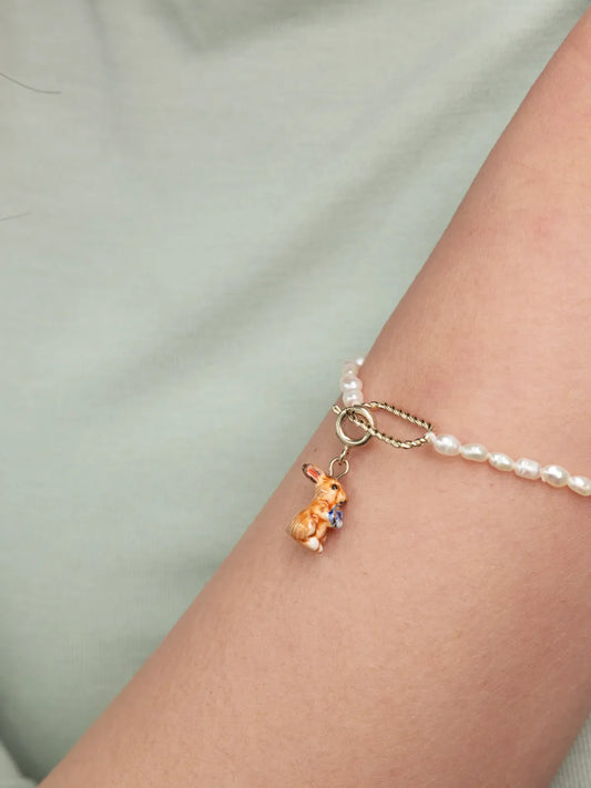 Charm's lapin marron