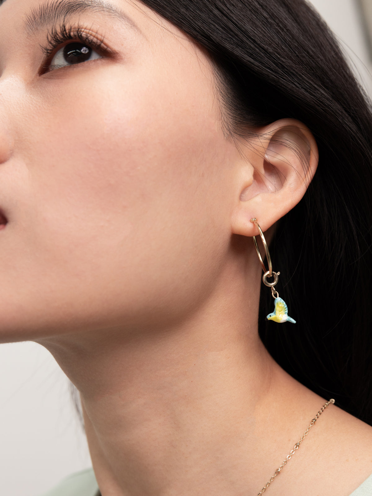 Charm's Paruline Bleue