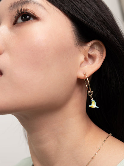 Charm's Paruline Bleue