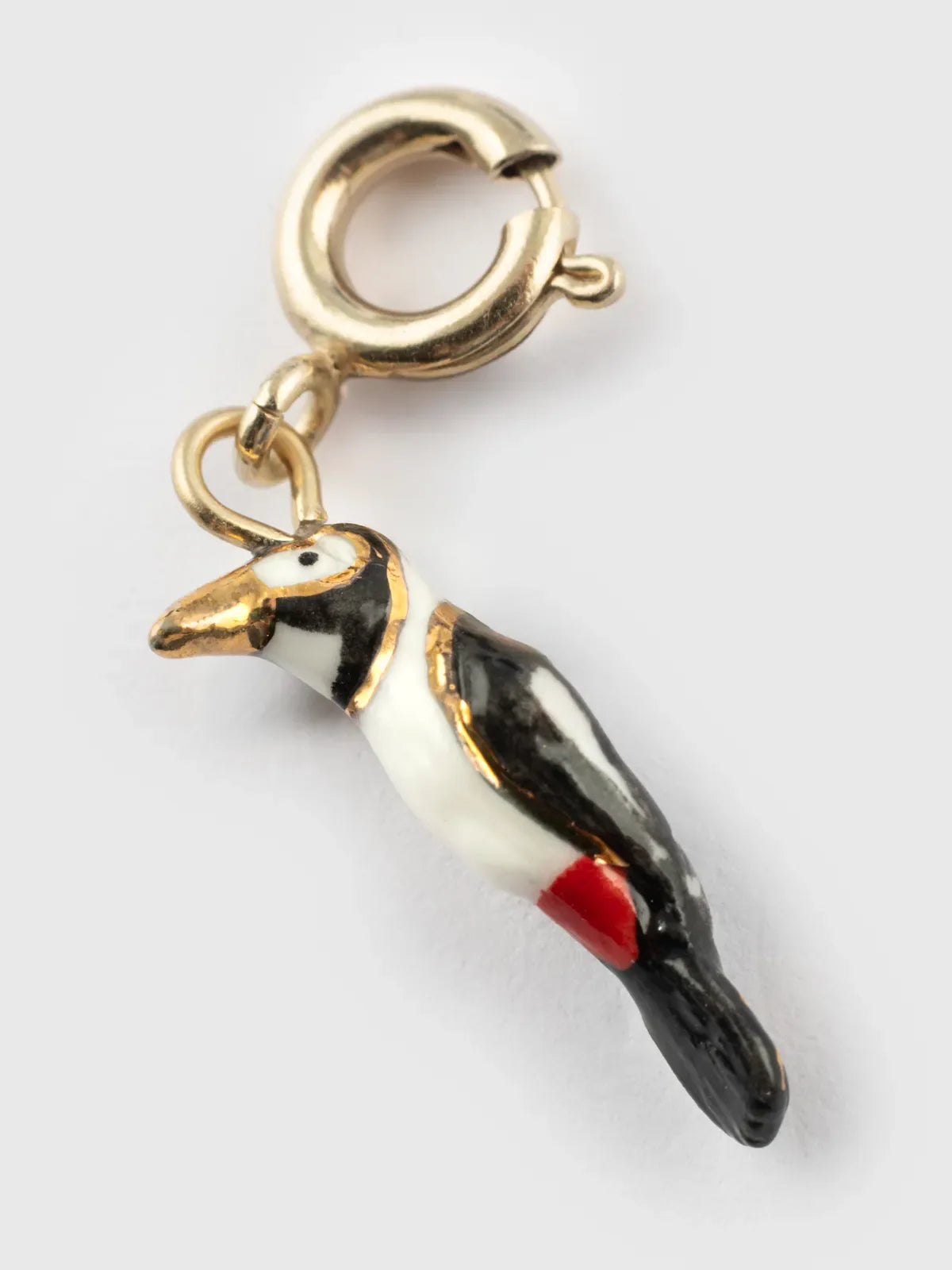 Charm's bird Spotted Woodpecker