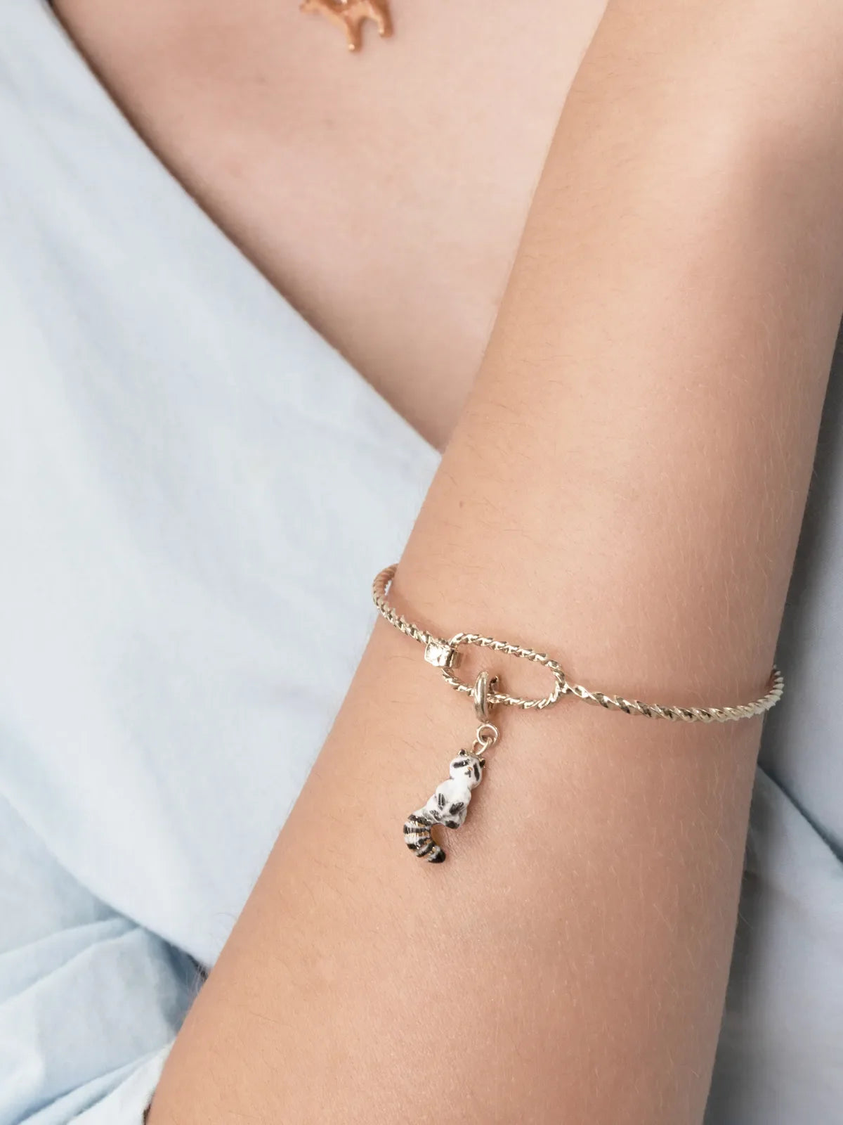 Charm's Raoul le raton laveur