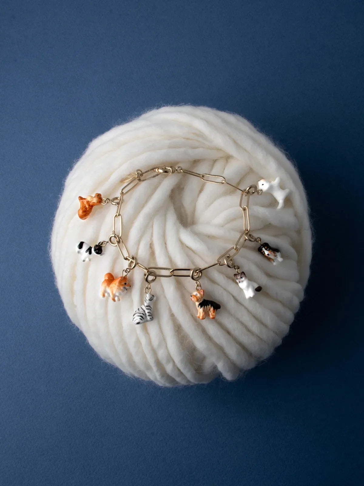 Yorkshire Terrier di Charm