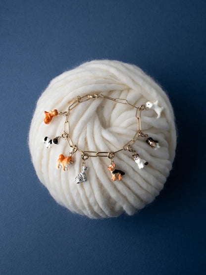 Yorkshire Terrier di Charm