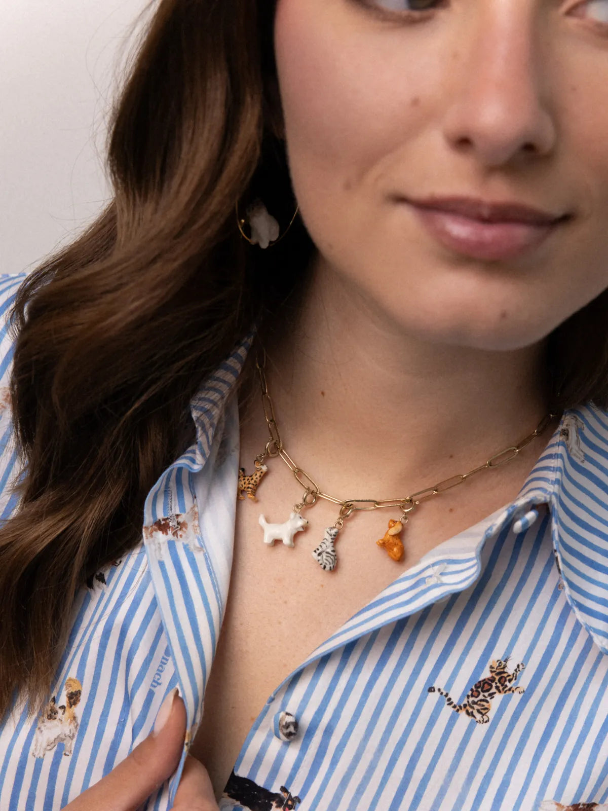 Il cane Cocker Spaniel di Charm