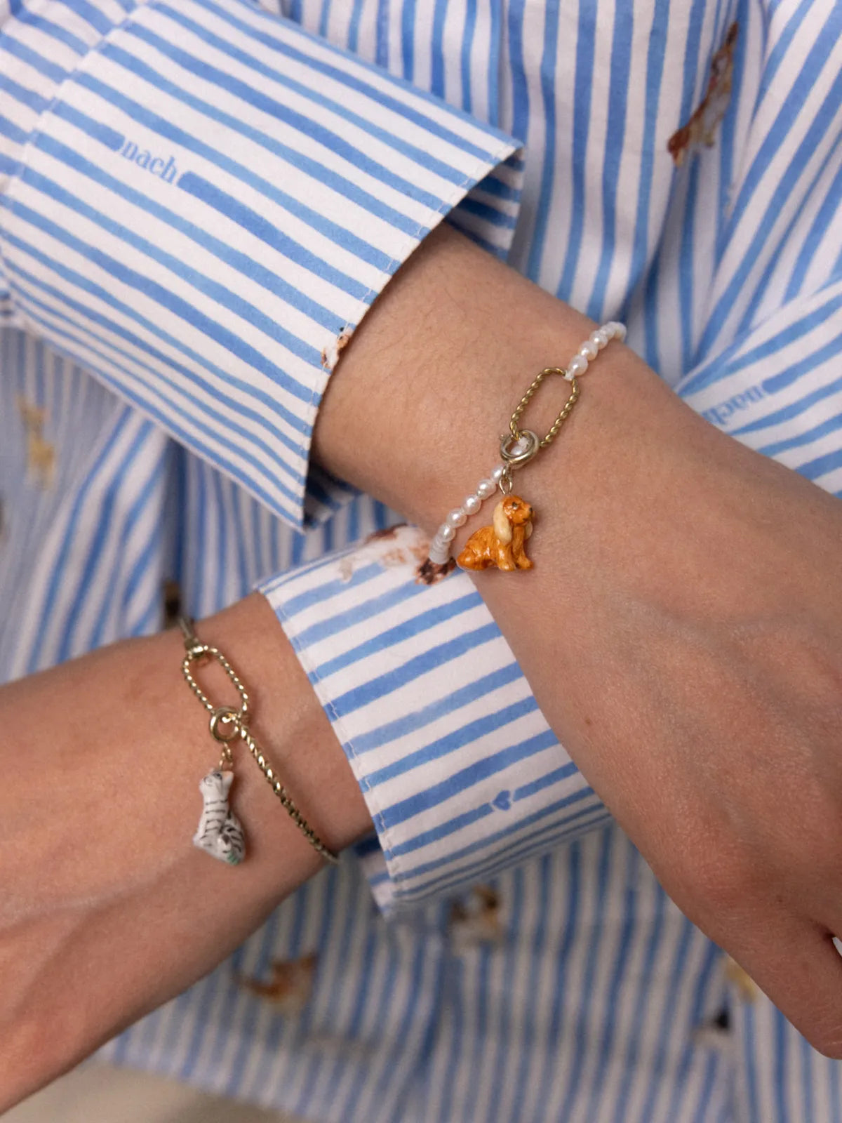 Il cane Cocker Spaniel di Charm