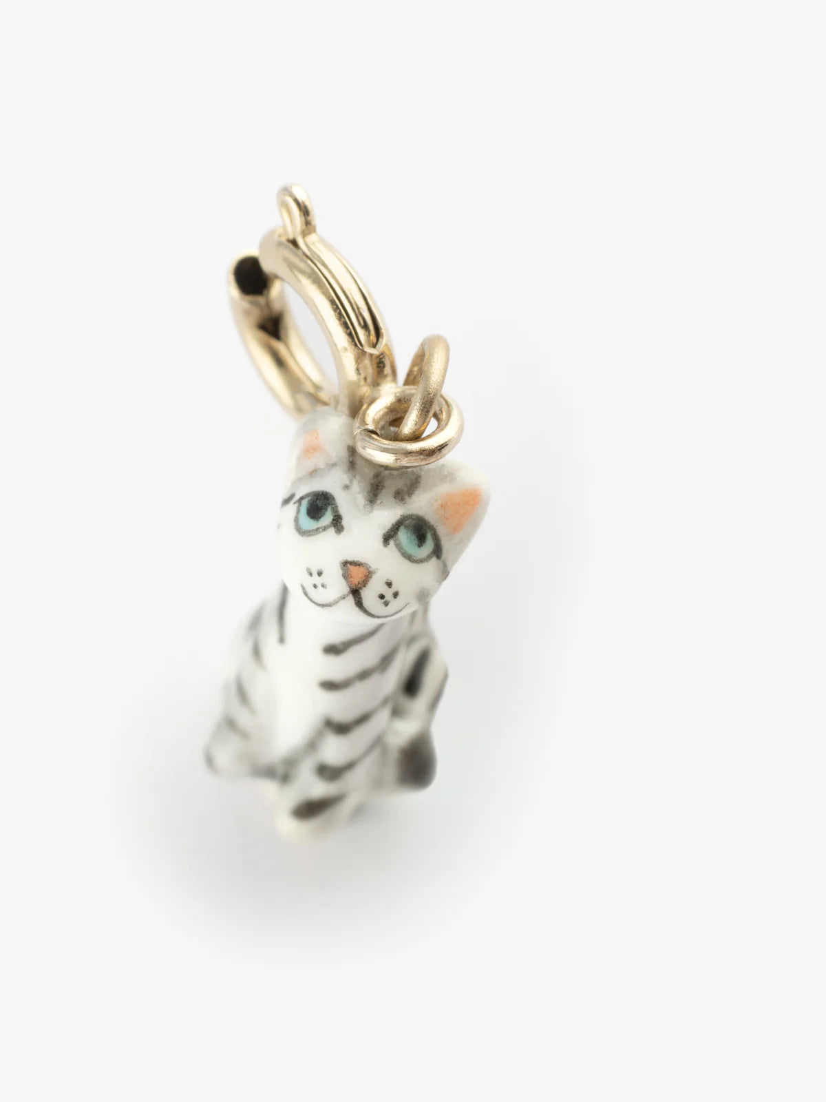 Charm's Chat tabby