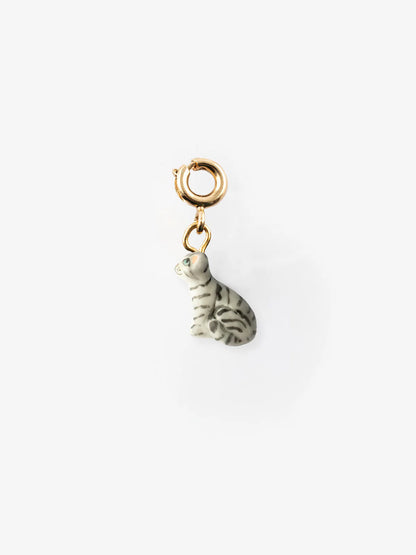 Charm's Chat tabby