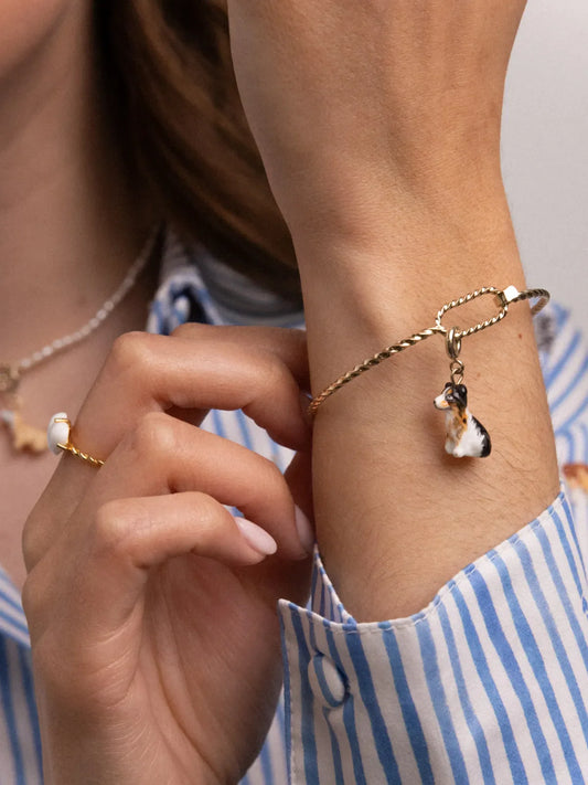 Charm's Australian Shepherd Dog