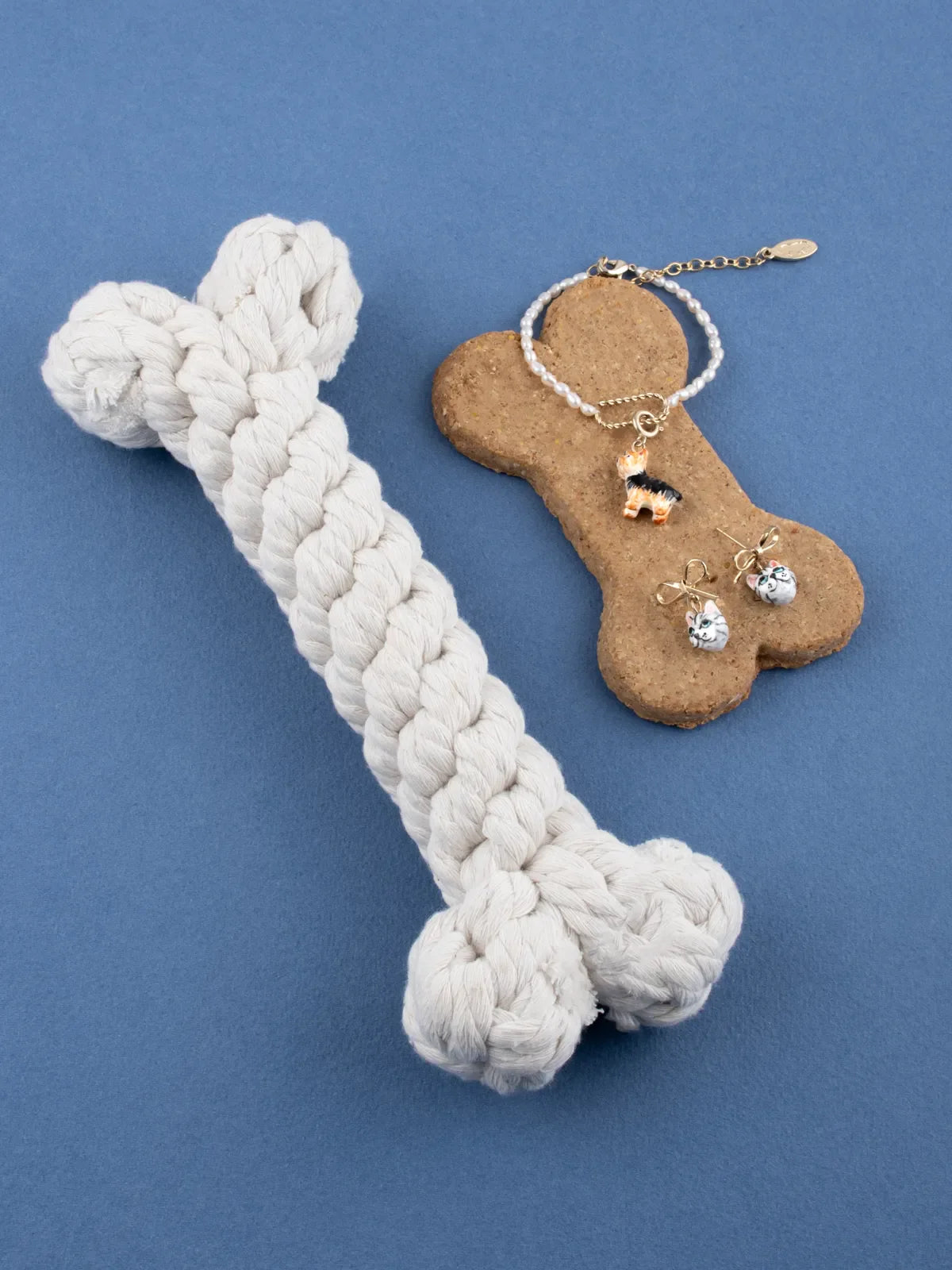 Yorkshire Terrier di Charm