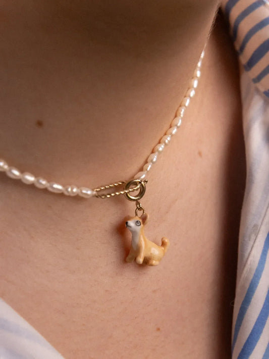 Charm's Chien Chihuahua