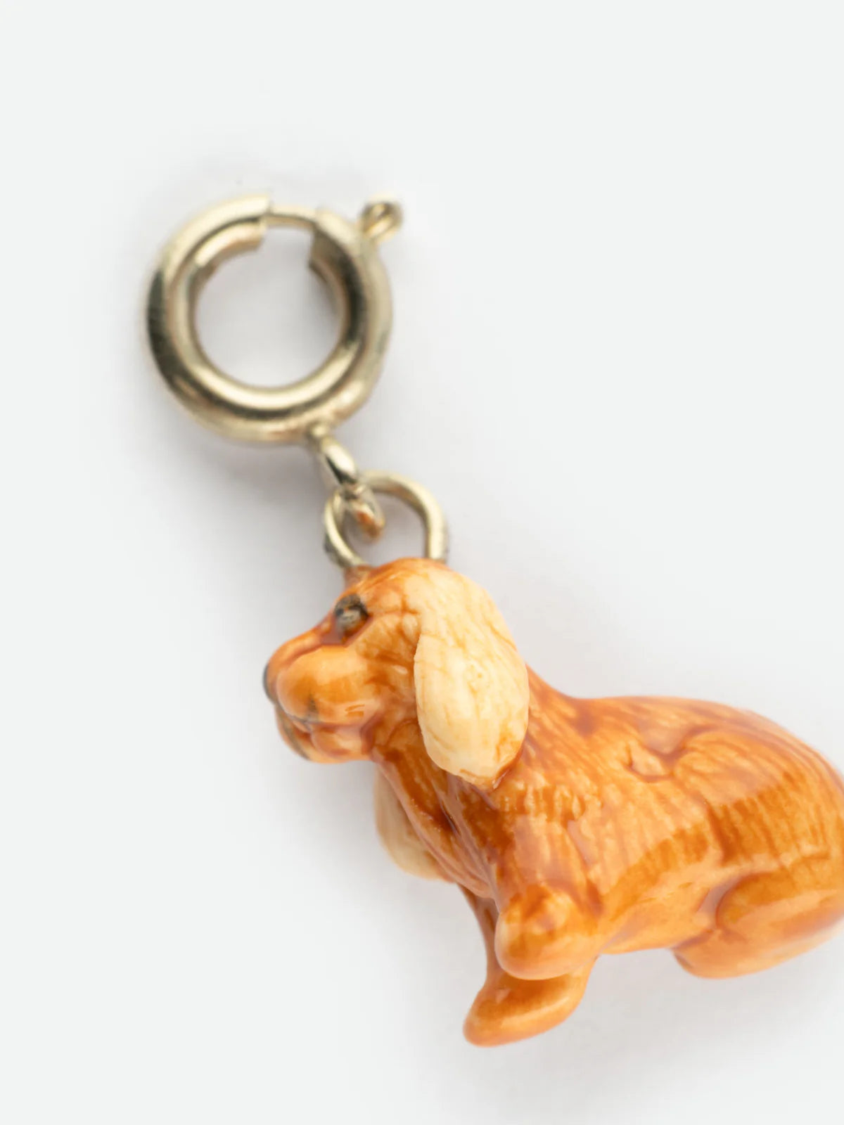 Il cane Cocker Spaniel di Charm