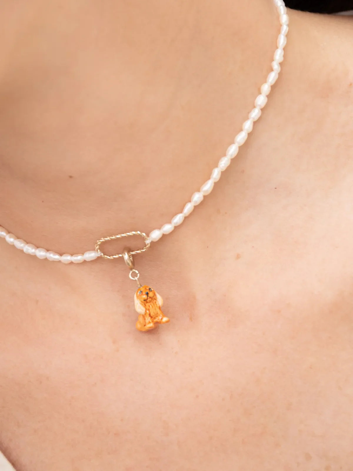 Il cane Cocker Spaniel di Charm