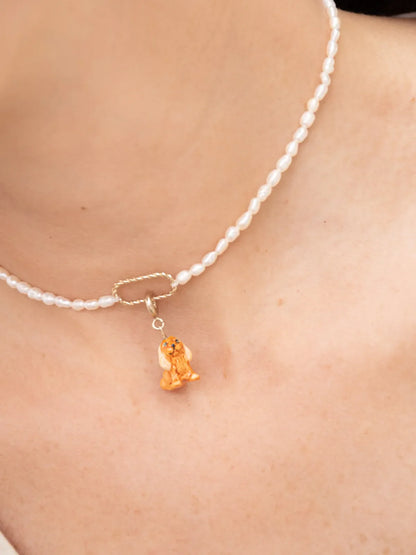 Il cane Cocker Spaniel di Charm