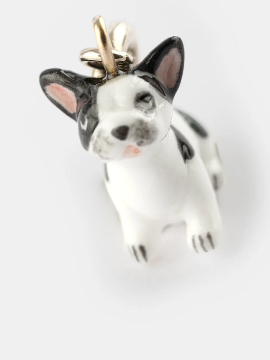 Il bulldog francese di Charm