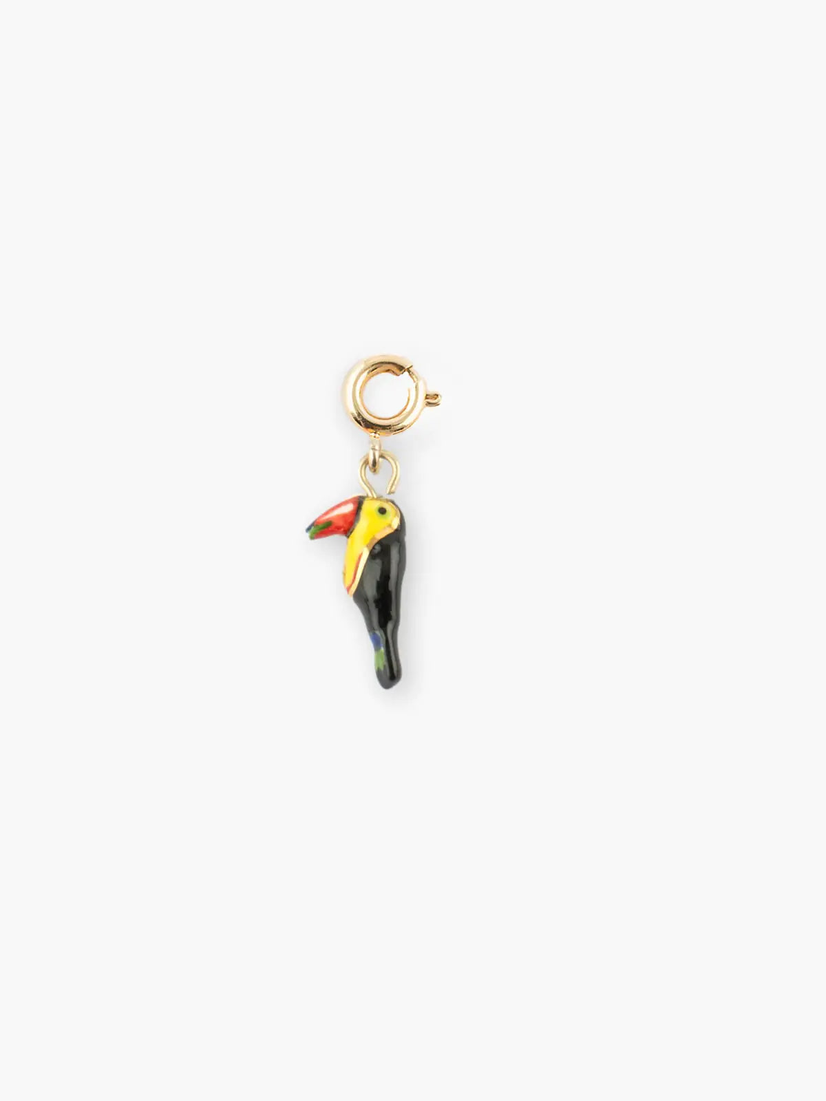 Charm's tropical toucan