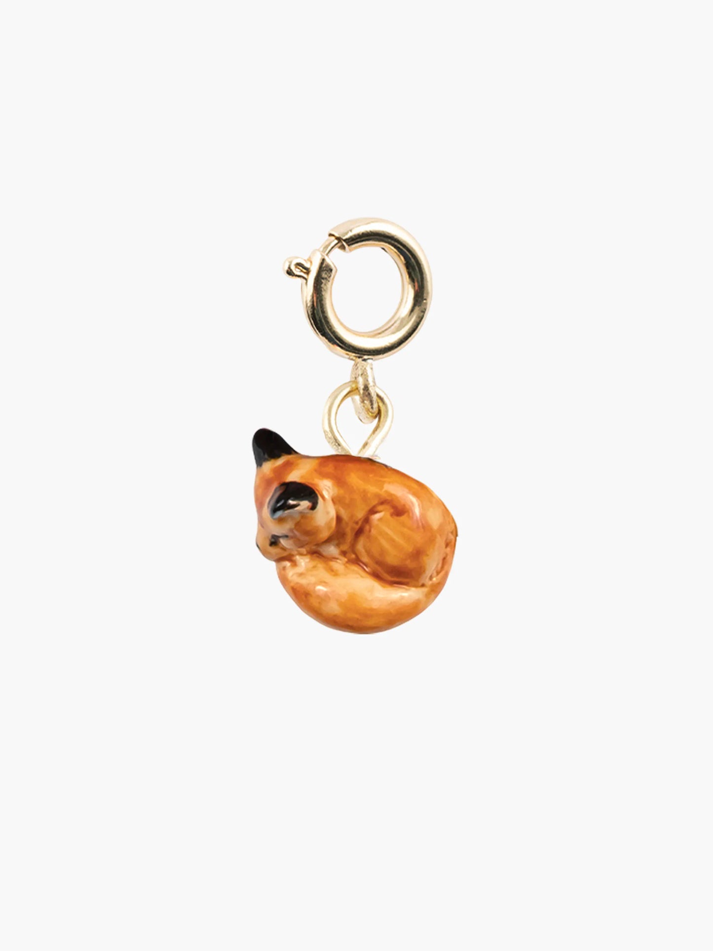 Charm's renard endormi