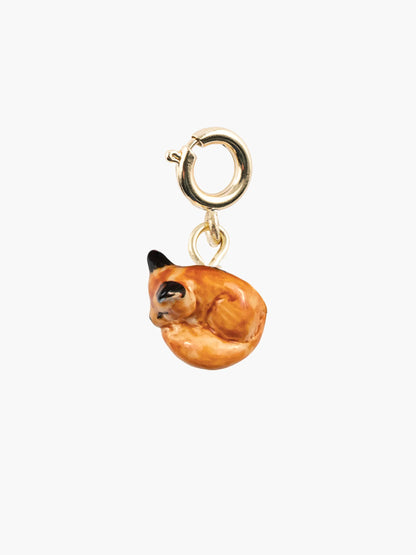 Charm's renard endormi