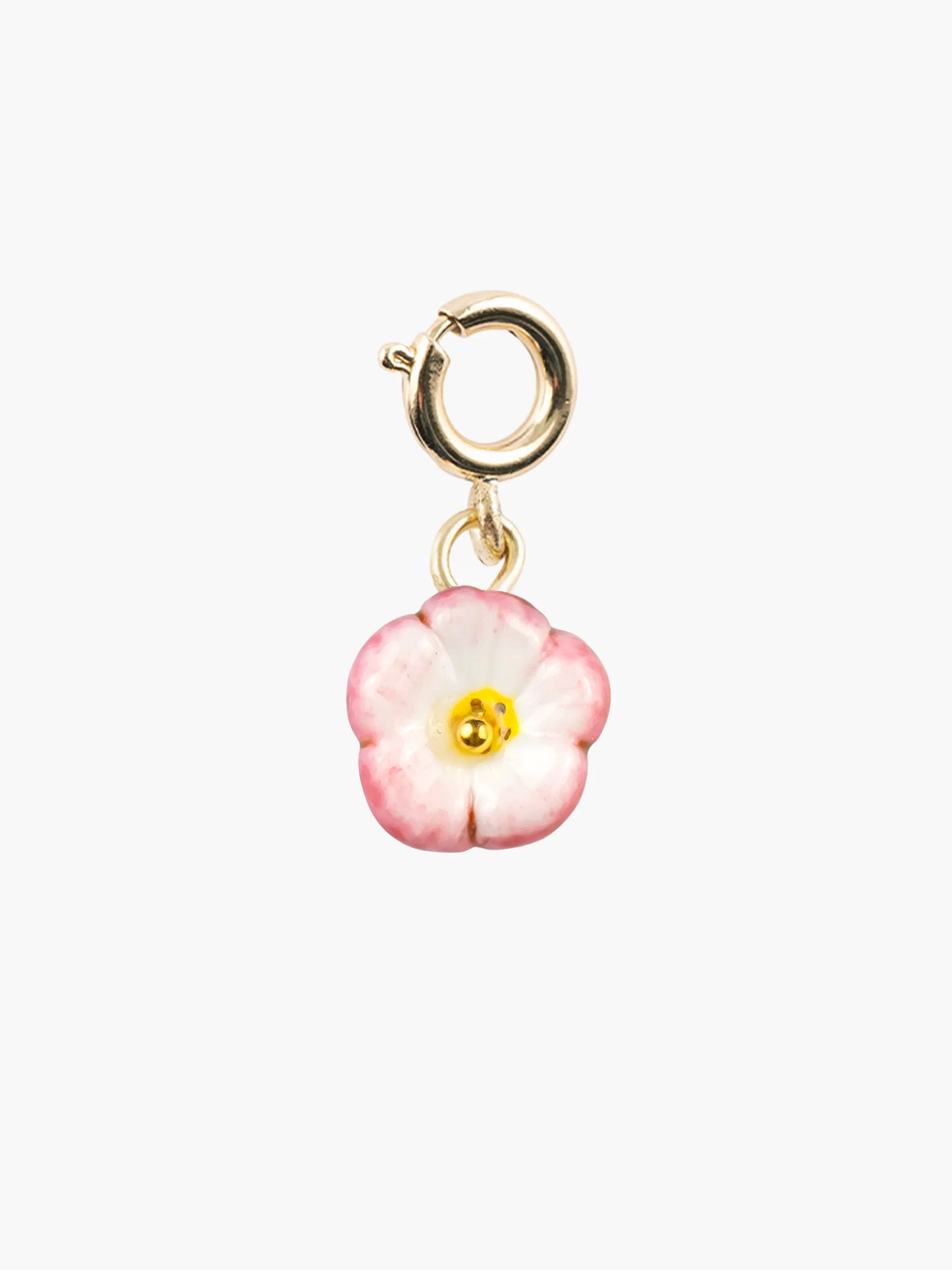 Charm's rose céleste