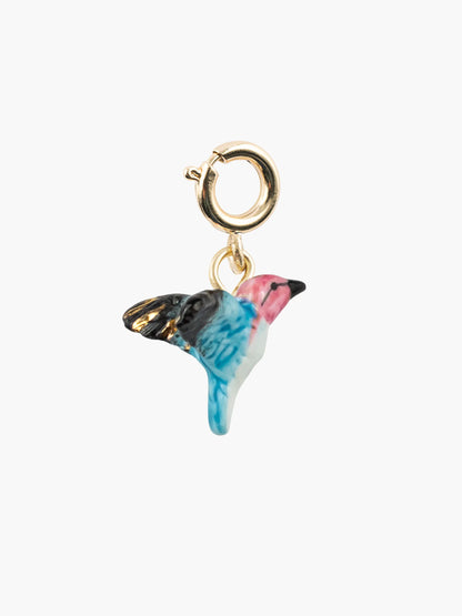 Charm's colibri