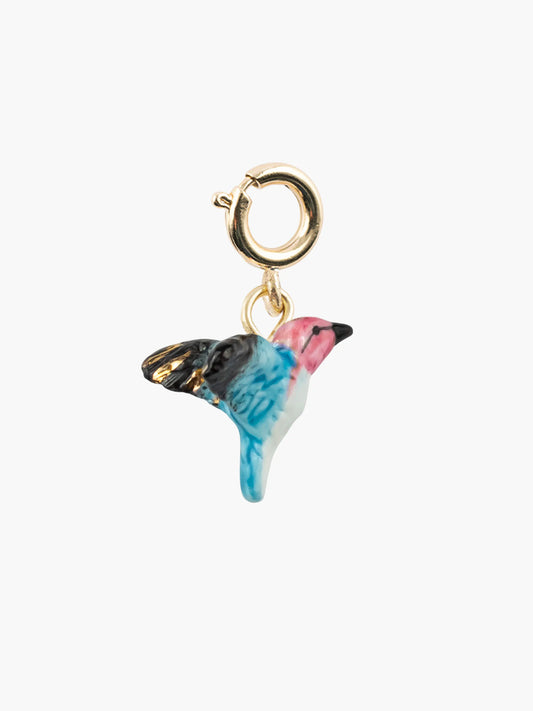 Charm's colibri