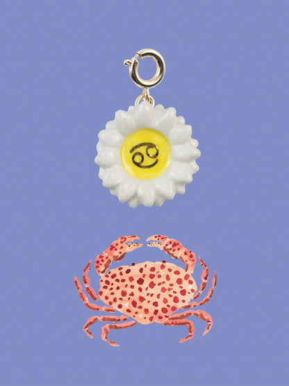 Cancro di Charm - Astro