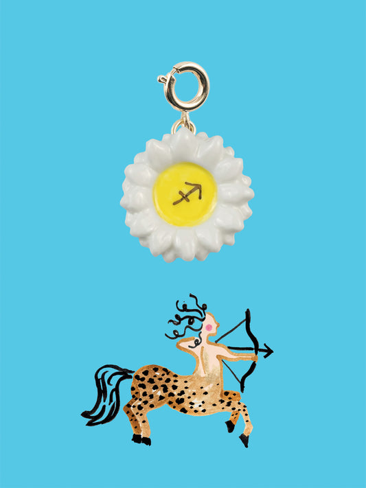 Fascino del Sagittario - Astro