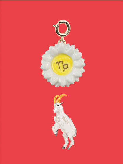 Ciondolo Capricorno - Astro