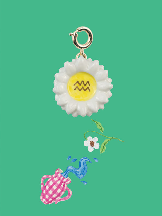 Ciondolo dell'Acquario - Astrologia