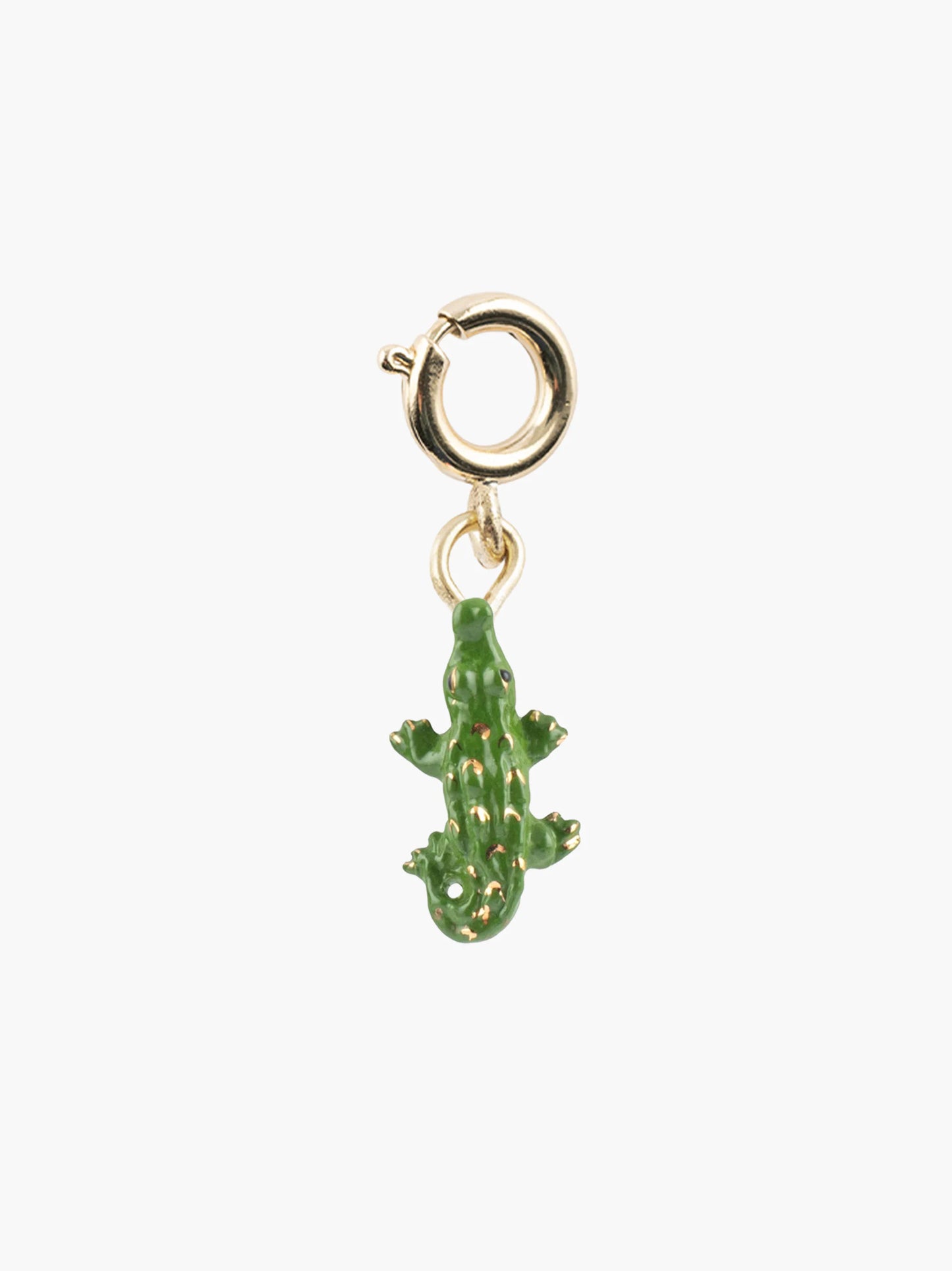 Charm's crocodile