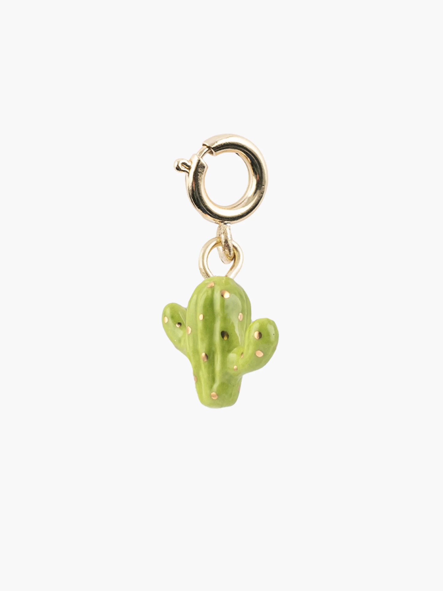 Charm's cactus