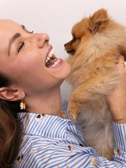 Mini créole chien Spitz - Vendue à l'unité